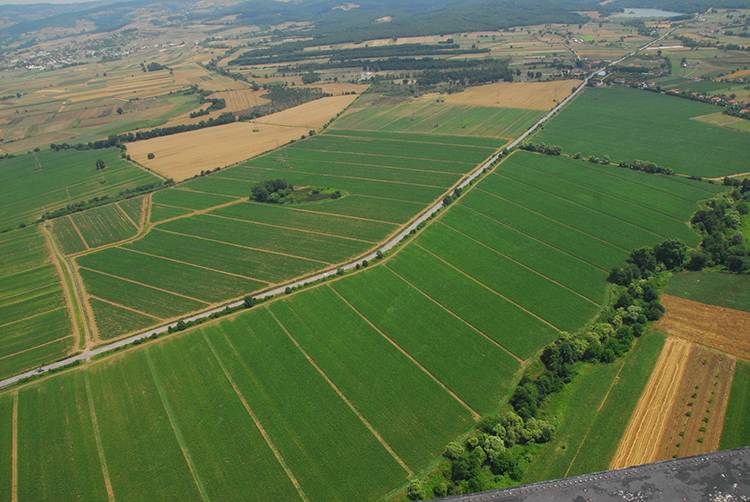 Sadece 73 bin TL’ye arsa fırsatı! Milli Emlak’tan devlet garantili imarlı arazi satışı başladı 9